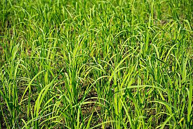 FX科技为Steam Deck提供了更好的屏幕